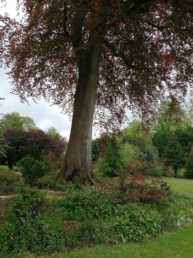 Chambre Le Notre Le Domaine Des Jardins De Bracquetuit Dış mekan fotoğraf