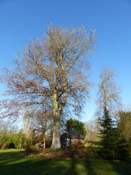 Chambre Le Notre Le Domaine Des Jardins De Bracquetuit Dış mekan fotoğraf