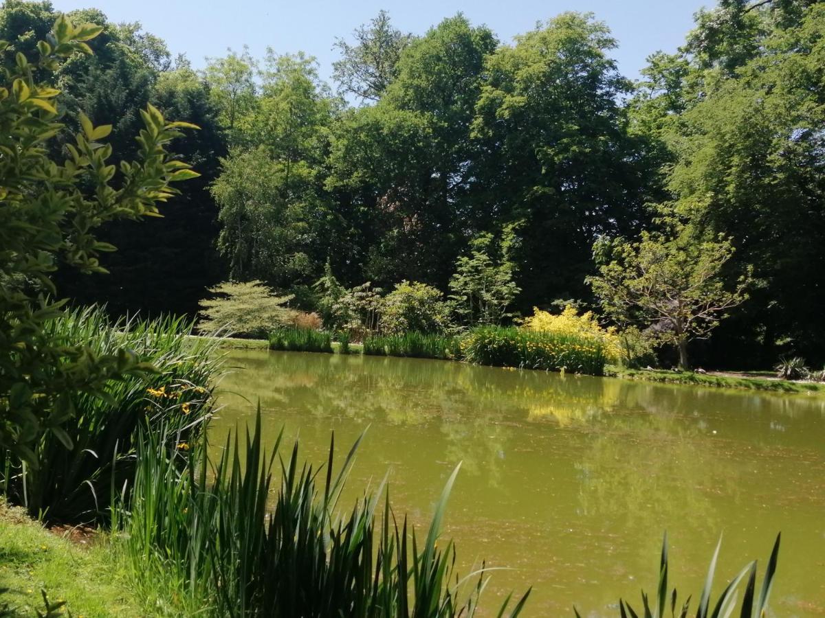 Chambre Le Notre Le Domaine Des Jardins De Bracquetuit Dış mekan fotoğraf