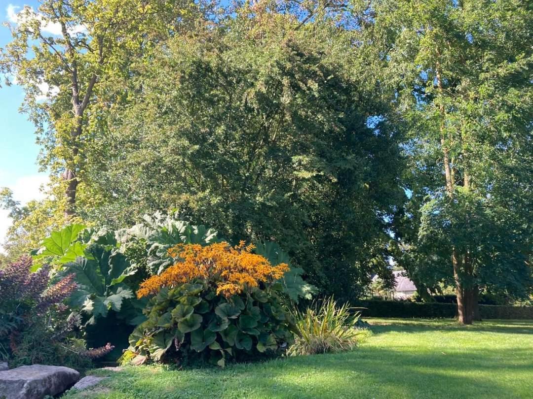 Chambre Le Notre Le Domaine Des Jardins De Bracquetuit Dış mekan fotoğraf